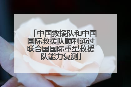 中国救援队和中国国际救援队顺利通过联合国国际重型救援队能力复测