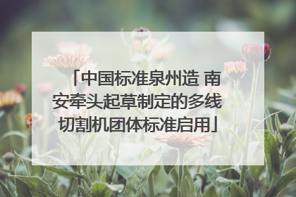 中国标准泉州造 南安牵头起草制定的多线切割机团体标准启用