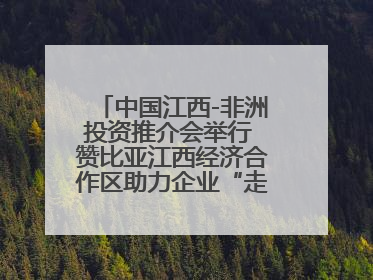 中国江西-非洲投资推介会举行 赞比亚江西经济合作区助力企业“走出去”