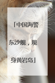 中国海警东沙舰，现身黄岩岛