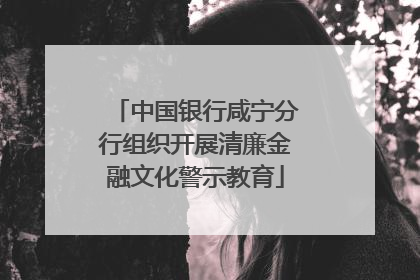 中国银行咸宁分行组织开展清廉金融文化警示教育