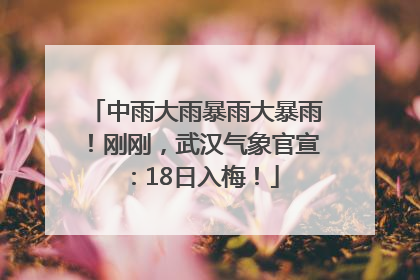 中雨大雨暴雨大暴雨！刚刚，武汉气象官宣：18日入梅！