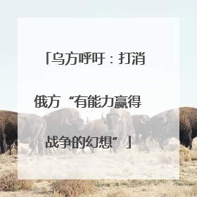 乌方呼吁：打消俄方“有能力赢得战争的幻想”