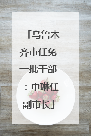 乌鲁木齐市任免一批干部：申琳任副市长