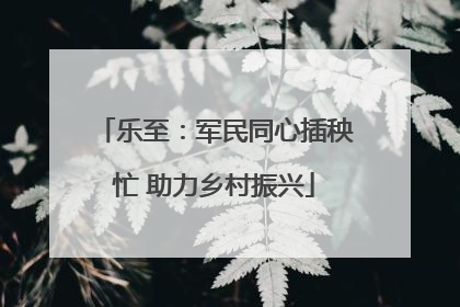 乐至：军民同心插秧忙 助力乡村振兴