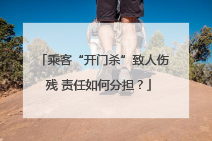 乘客“开门杀”致人伤残 责任如何分担？