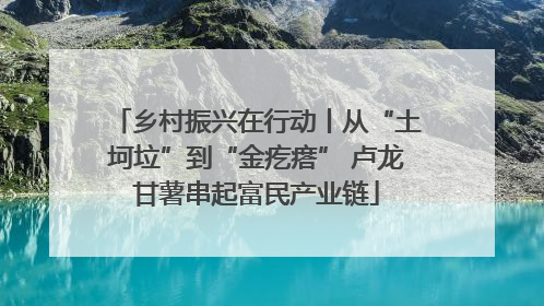 乡村振兴在行动丨从“土坷垃”到“金疙瘩” 卢龙甘薯串起富民产业链
