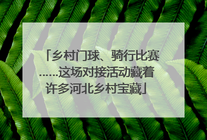 乡村门球、骑行比赛……这场对接活动藏着许多河北乡村宝藏