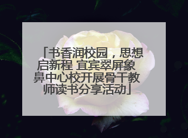 书香润校园，思想启新程 宜宾翠屏象鼻中心校开展骨干教师读书分享活动