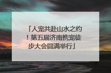 人宠共赴山水之约！第五届济南携宠徒步大会圆满举行