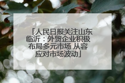 人民日报关注山东临沂：外贸企业积极布局多元市场 从容应对市场波动