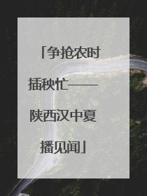 争抢农时插秧忙——陕西汉中夏播见闻