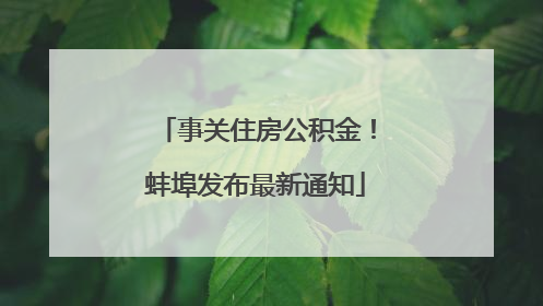 事关住房公积金！蚌埠发布最新通知