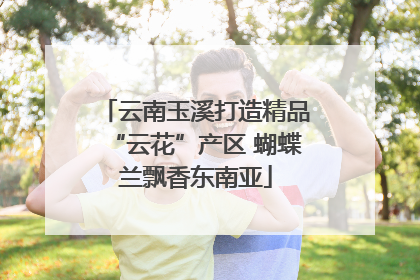 云南玉溪打造精品“云花”产区 蝴蝶兰飘香东南亚