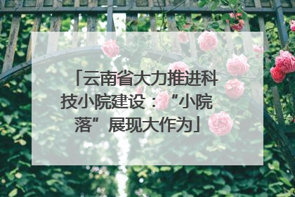 云南省大力推进科技小院建设：“小院落”展现大作为