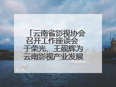 云南省影视协会召开工作座谈会 于荣光、王砚辉为云南影视产业发展出谋划策