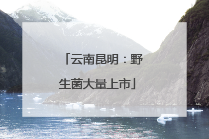 云南昆明：野生菌大量上市