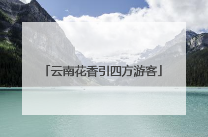 云南花香引四方游客