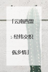 云南西盟：经纬交织佤乡情