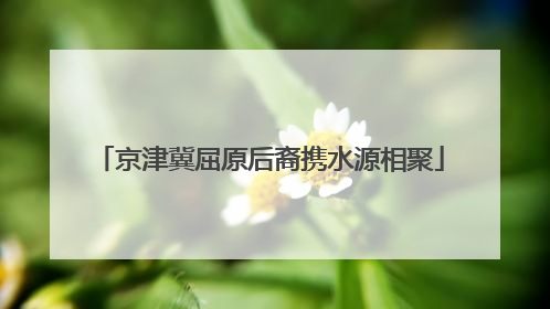 京津冀屈原后裔携水源相聚