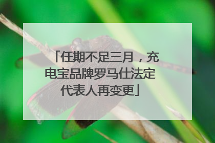 任期不足三月，充电宝品牌罗马仕法定代表人再变更
