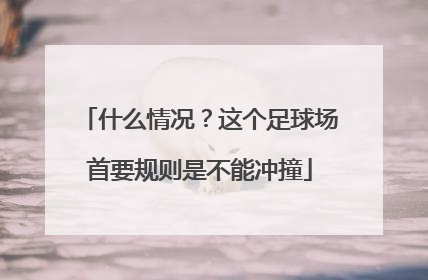 什么情况？这个足球场首要规则是不能冲撞