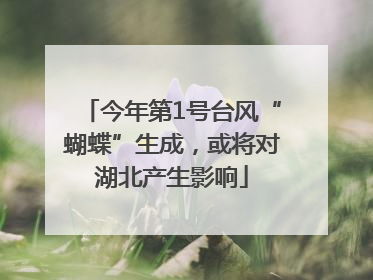 今年第1号台风“蝴蝶”生成，或将对湖北产生影响
