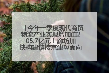 今年一季度现代商贸物流产业实现增加值205.7亿元！廊坊加快构建链接京津冀面向全世界的物流通道