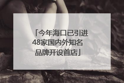 今年海口已引进48家国内外知名品牌开设首店