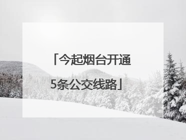 今起烟台开通5条公交线路