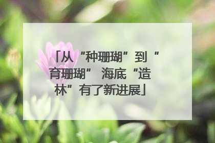 从“种珊瑚”到“育珊瑚” 海底“造林”有了新进展