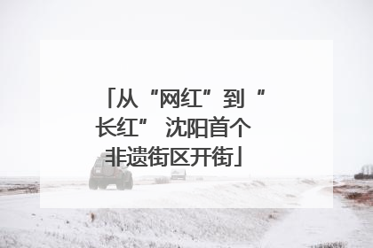 从“网红”到“长红” 沈阳首个非遗街区开街