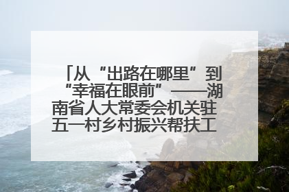 从“出路在哪里”到“幸福在眼前”——湖南省人大常委会机关驻五一村乡村振兴帮扶工作队书写振兴答卷