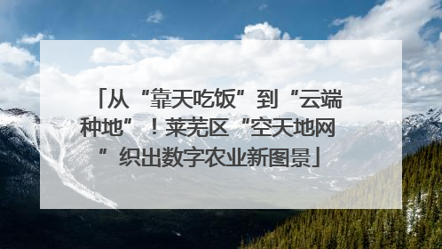 从“靠天吃饭”到“云端种地”！莱芜区“空天地网”织出数字农业新图景
