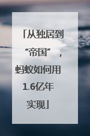 从独居到“帝国”，蚂蚁如何用1.6亿年实现