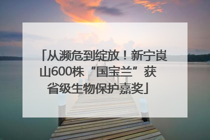 从濒危到绽放！新宁崀山600株“国宝兰”获省级生物保护嘉奖