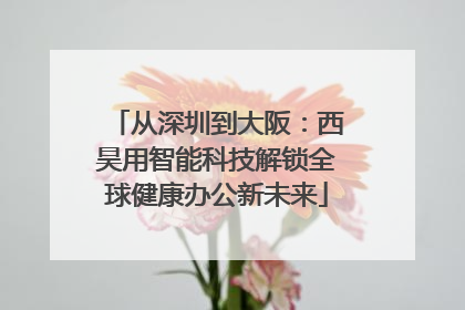从深圳到大阪：西昊用智能科技解锁全球健康办公新未来
