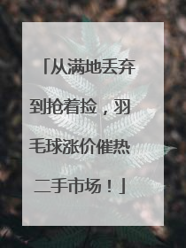 从满地丢弃到抢着捡，羽毛球涨价催热二手市场！