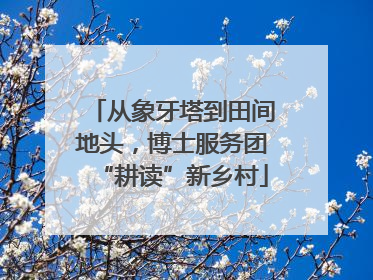 从象牙塔到田间地头，博士服务团“耕读”新乡村