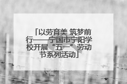 以劳育美 筑梦前行——宁国市宁阳学校开展“五一”劳动节系列活动