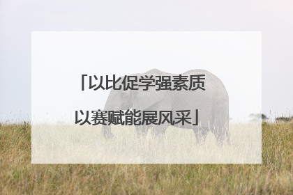 以比促学强素质 以赛赋能展风采