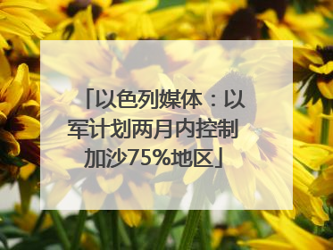以色列媒体：以军计划两月内控制加沙75%地区