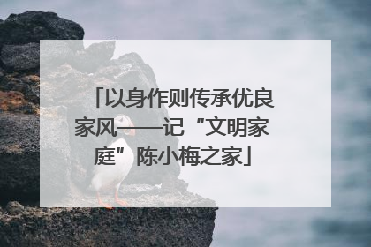 以身作则传承优良家风——记“文明家庭”陈小梅之家