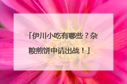 伊川小吃有哪些？杂粮煎饼申请出战！