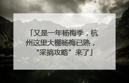 又是一年杨梅季，杭州这里大棚杨梅已熟，“采摘攻略”来了