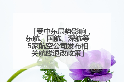 受中东局势影响，东航、国航、深航等5家航空公司发布相关航线退改政策