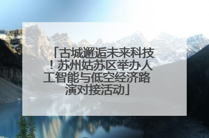古城邂逅未来科技！苏州姑苏区举办人工智能与低空经济路演对接活动