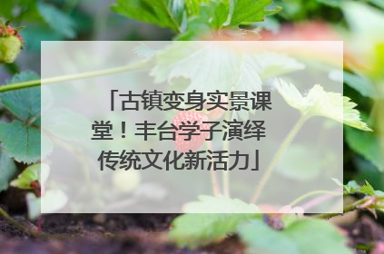 古镇变身实景课堂！丰台学子演绎传统文化新活力