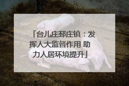 台儿庄邳庄镇：发挥人大监督作用 助力人居环境提升
