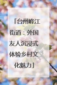 台州峰江街道：外国友人沉浸式体验乡村文化魅力